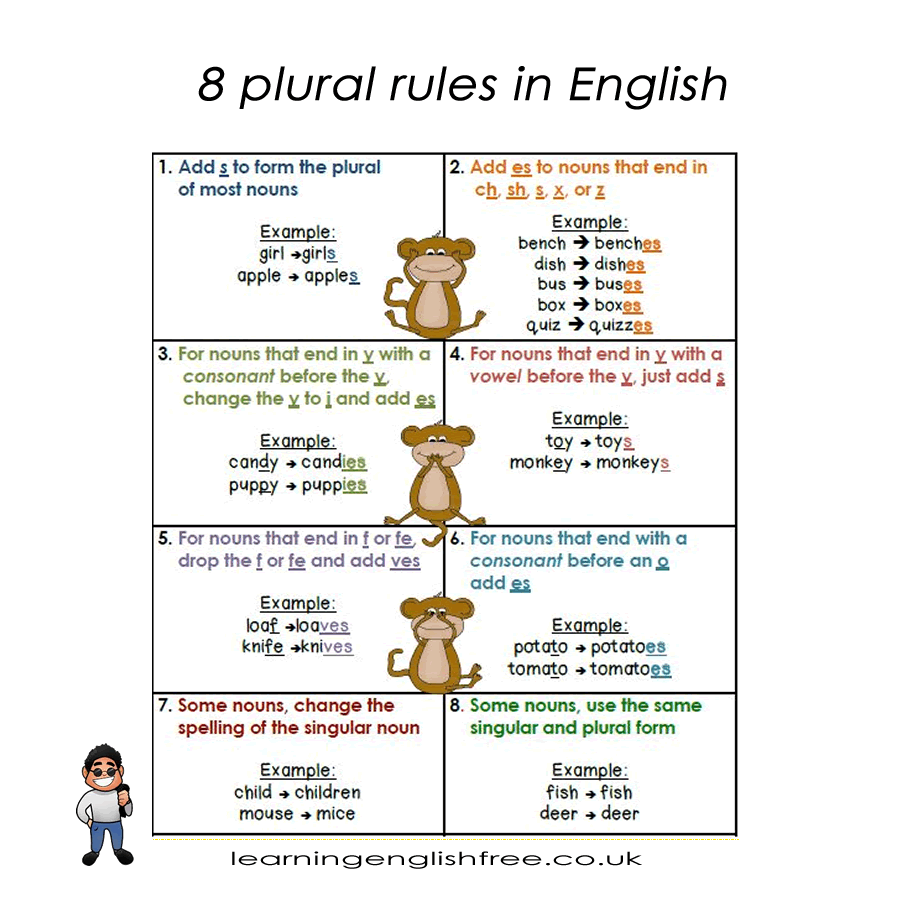 What are the 8 plural rules in English and how to use them correctly with examples English lesson