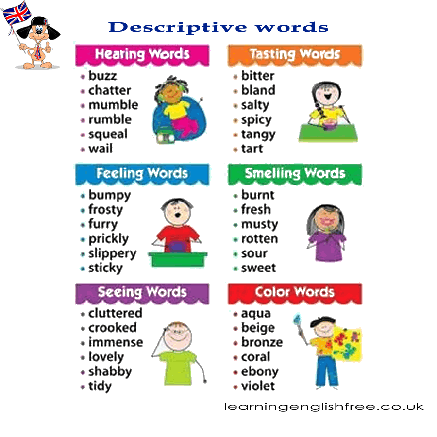 A comprehensive lesson on descriptive words in English, covering a broad spectrum of sensory experiences with practical examples and uses.
