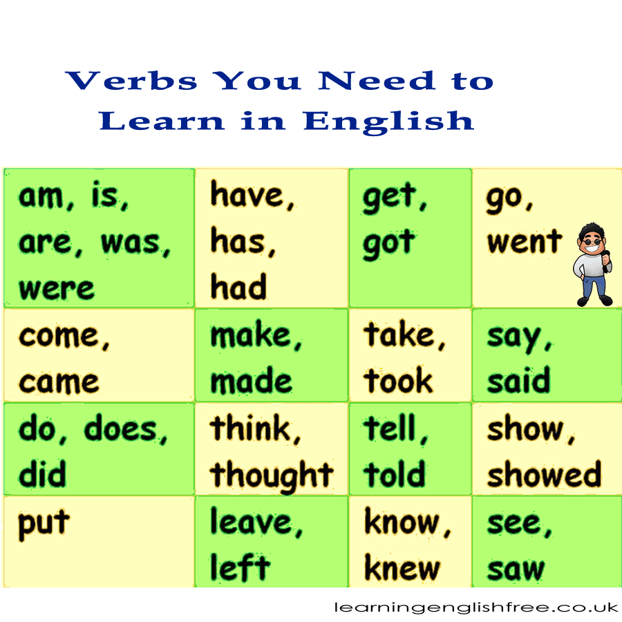 A comprehensive lesson on essential verbs in English, tailored for beginners with clear explanations and practical usage examples.