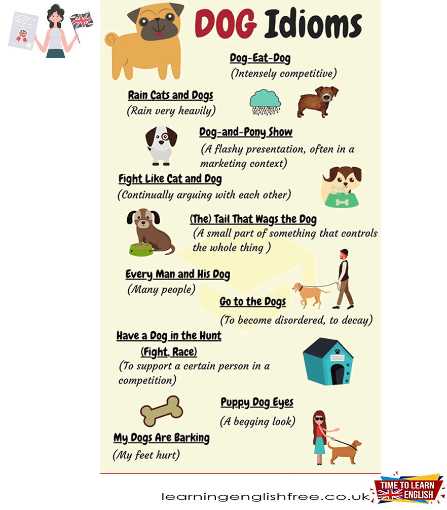 An engaging English lesson focused on dog idioms, providing learners with meanings, examples, and fun ways to incorporate these expressions into everyday language.
