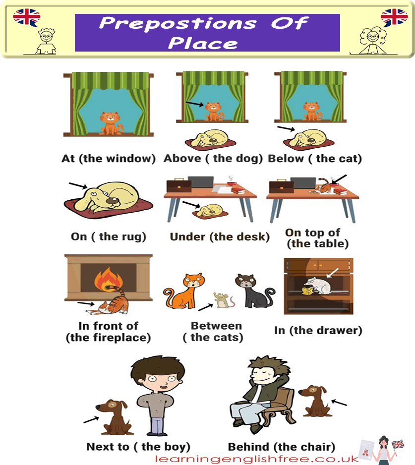 An engaging infographic explaining prepositions of place in English, with examples and icons for ESL learners.