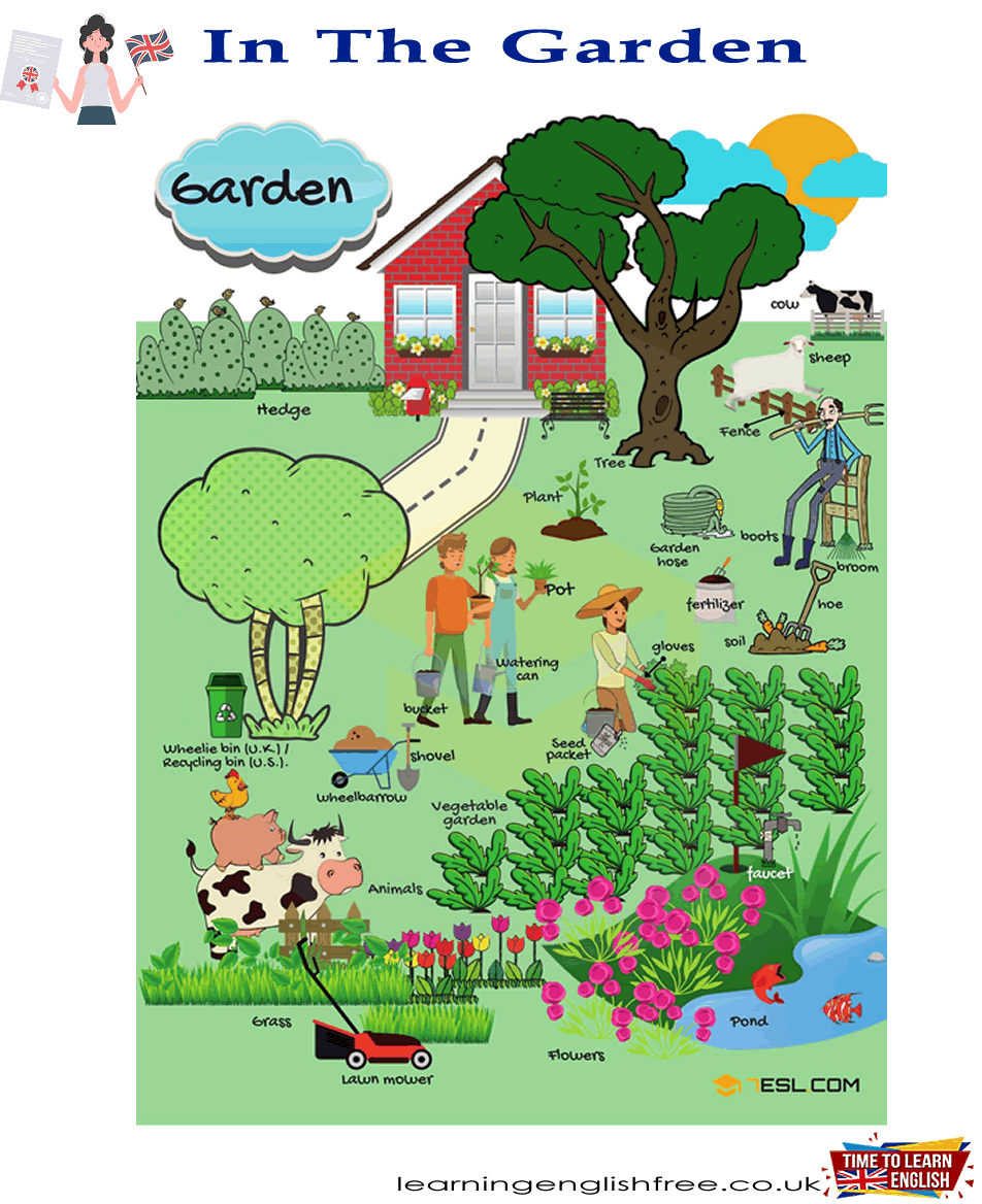 An educational lesson page on gardening vocabulary in English, including practical usage examples for budding garden enthusiasts.