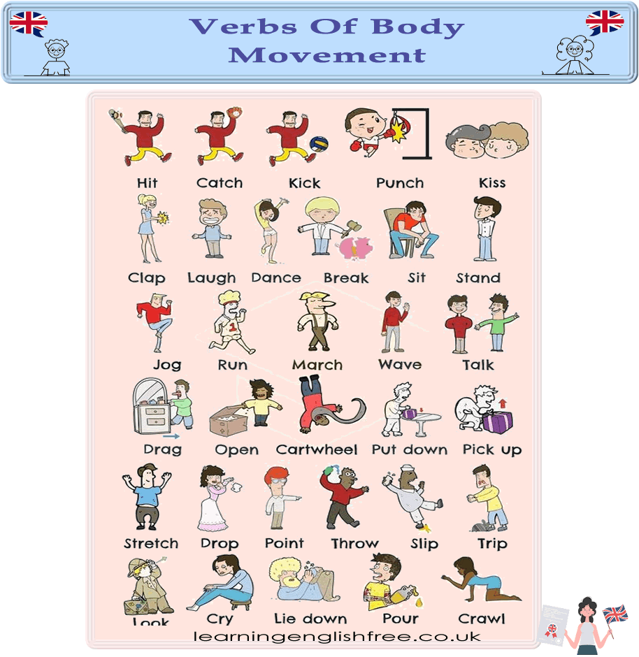 An engaging educational guide on verbs of body movement in English, tailored for ESL learners to enhance their vocabulary and physical expression.