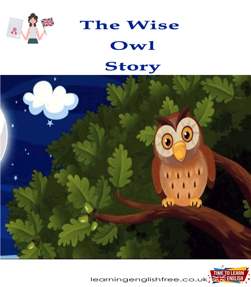 An illustration of Oliver Owl narrating stories to an attentive audience of forest animals under the moonlit sky, symbolizing wisdom and community.